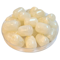 2 - Rolls cylindres en acrylique - Champagne marbré