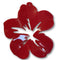 4 - Pendentif fleurs Hibiscus Rouge