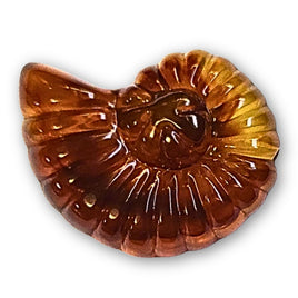 11 - Perle coquillage Ammonite, Caramel